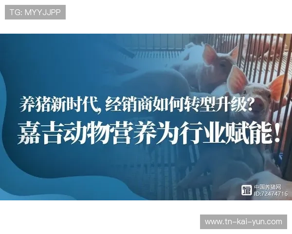 健康管理：联盟推广新营养与恢复计划降低伤病率，健康营养俱乐部的模式是什么