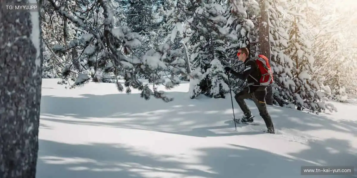 🎯 精准捕捉，不错过任何一个精彩瞬间！